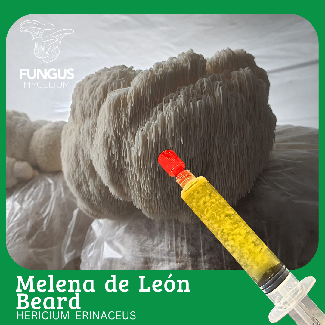 Vial Melena de leon Beard