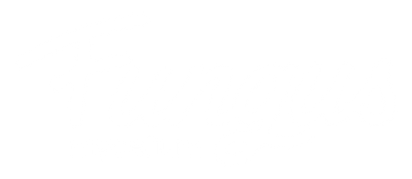 Fungus Mycelium